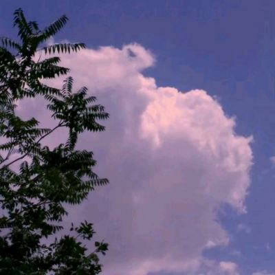 玛法霸域公益服下载