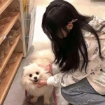 万箭齐发手游下载